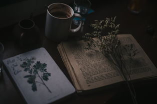 教育的力量，一个教师的感悟